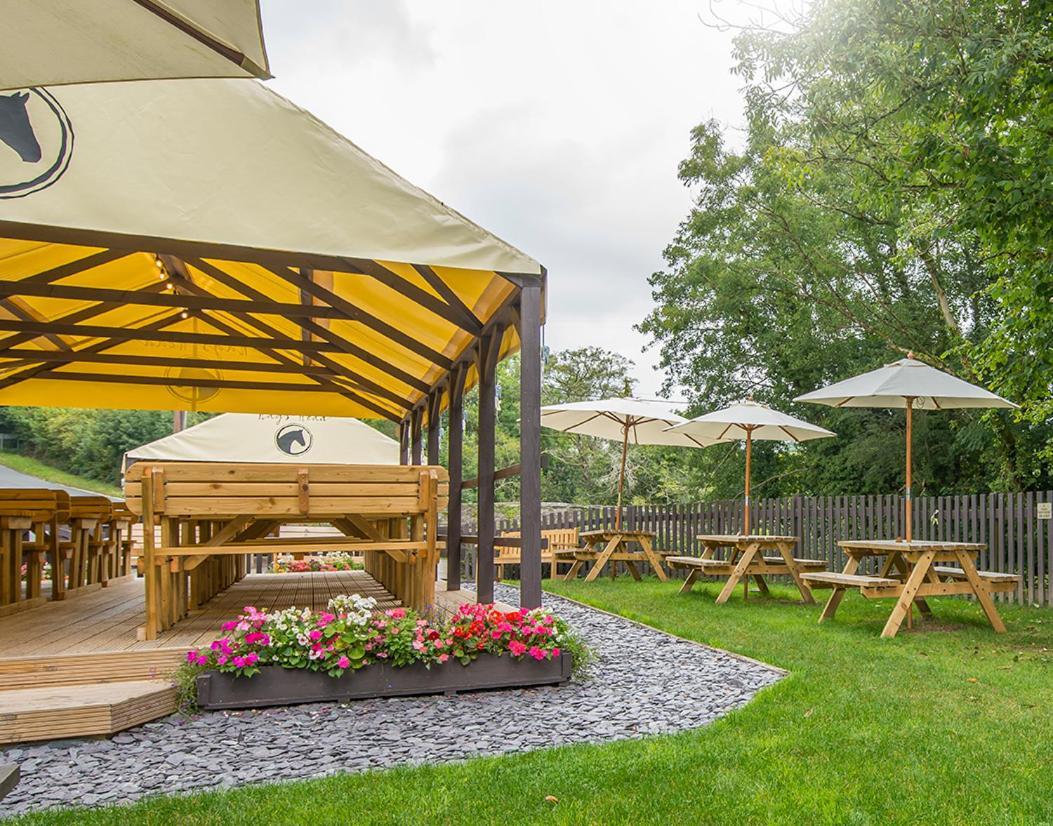 The Nags Head Inn Abercych المظهر الخارجي الصورة
