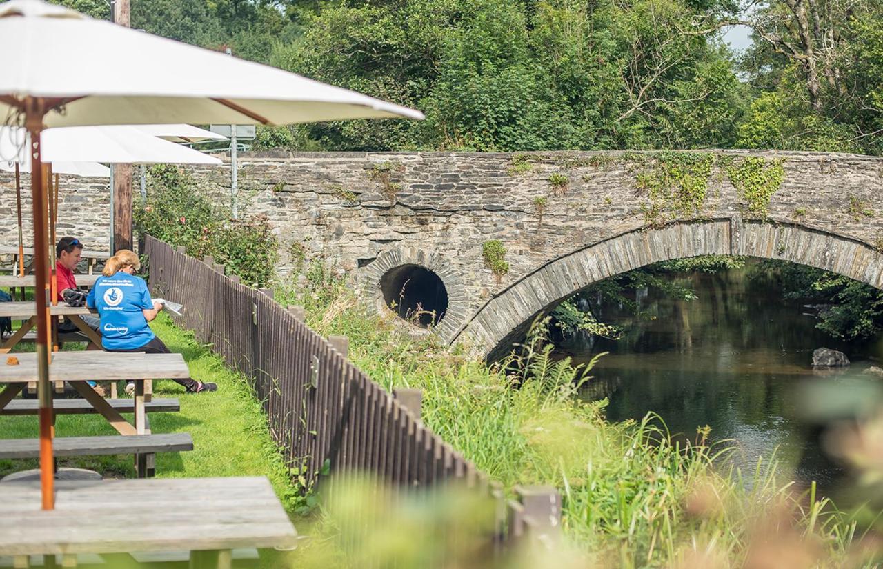 The Nags Head Inn Abercych المظهر الخارجي الصورة