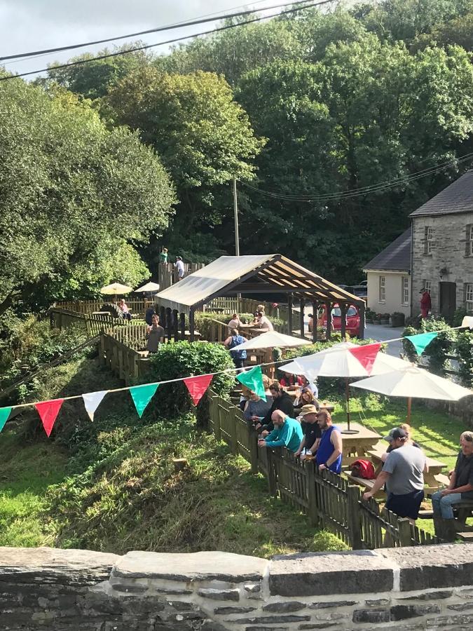 The Nags Head Inn Abercych المظهر الخارجي الصورة